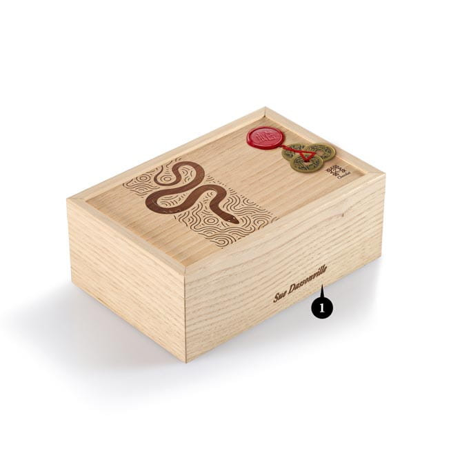 Chinese New Year Chameleon 