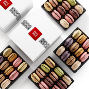  ZBOX 48 Macaron Noel