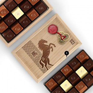 Chinese New Year Chameleon 