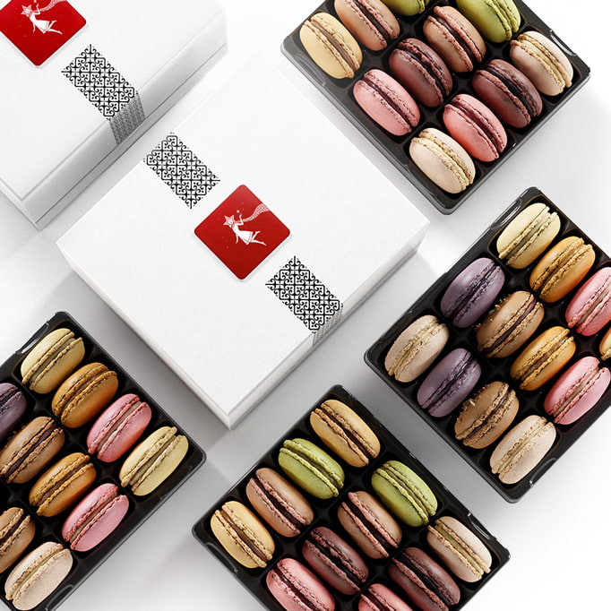 ZBOX 48 Macaron Noel