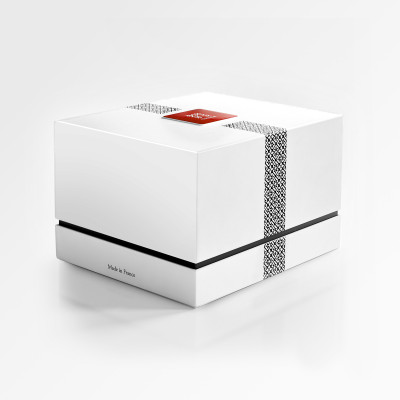 ZBOX 24 Parisienne de Noël