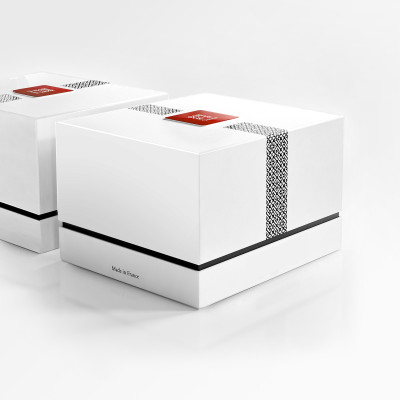 ZBOX 48 Parisienne de Noël