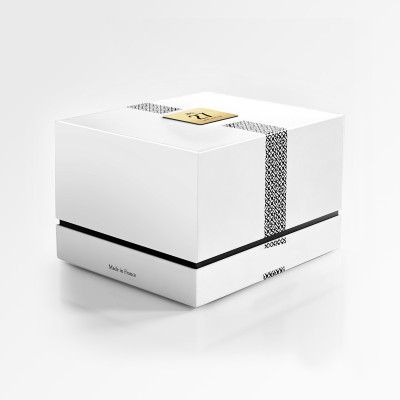 ZBOX 24 Parisienne Nouvel An