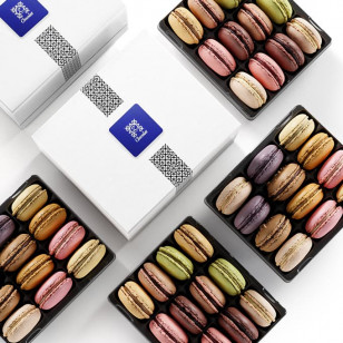  ZBOX 48 Macaron Noel