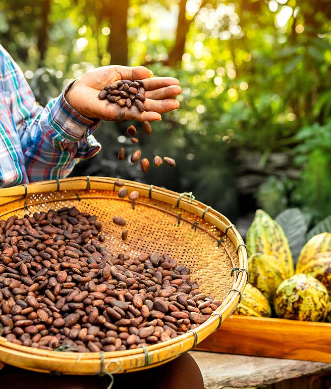 French Ramadan chocolates