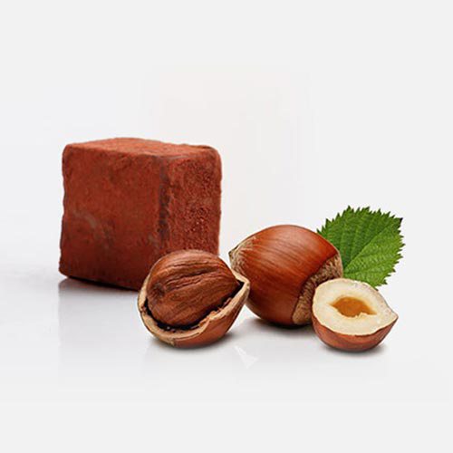 A dark chocolate with hazelnuts