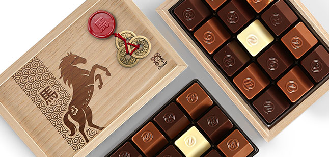 Chinese New Year Chameleon 