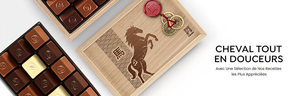 Cam&eacute;l&eacute;on Nouvel An Chinois